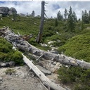 Tyler Trail, leaner and blowdowns