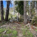 Tyler Trail, leaner and blowdowns