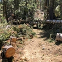 Loon Lake TH to Pleasant boat campground