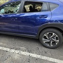 Bear damage at Bayview