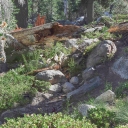 Grouse Lake Trail impediments 7/27/17