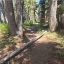 Twin Lakes Trailhead 09/02/24
