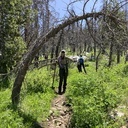 Lyons Creek June 15, 2025