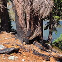 9-6-26 Gilmore Lake