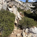 9/27/26 Grass Lake Brushing
