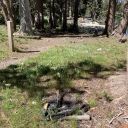 Gilmore Lake 8/5/23