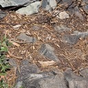 tallac trail barb wire